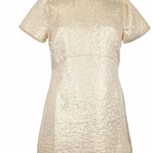 Ann Taylor Loft Metallic Brocade Dress